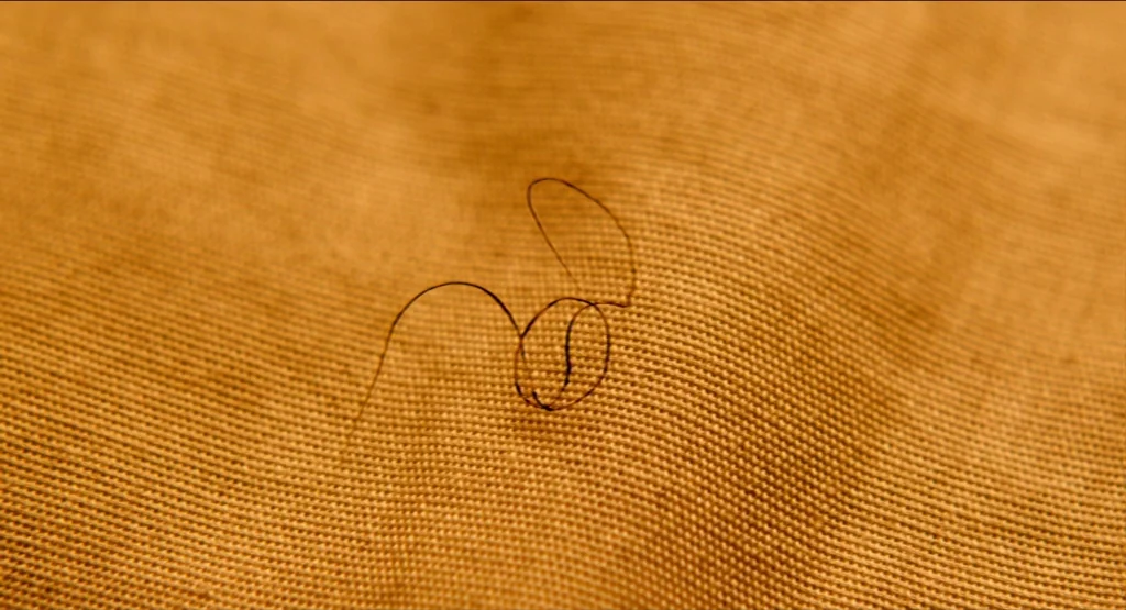 Life During Wartime (2009) movie still: closeup — A close-up view shows a single dark hair coiled on a coarse tan fabric. The fabric exhibits a…