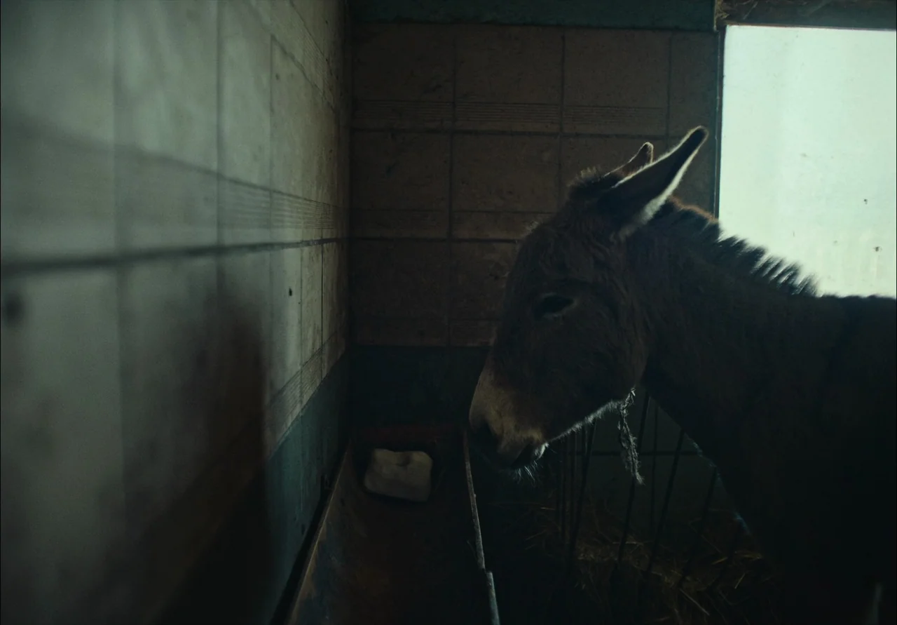 EO (2022) movie still: medium — A dimly lit, tiled animal stall contains a feeding trough with a block inside. A donkey stands in profile to the…