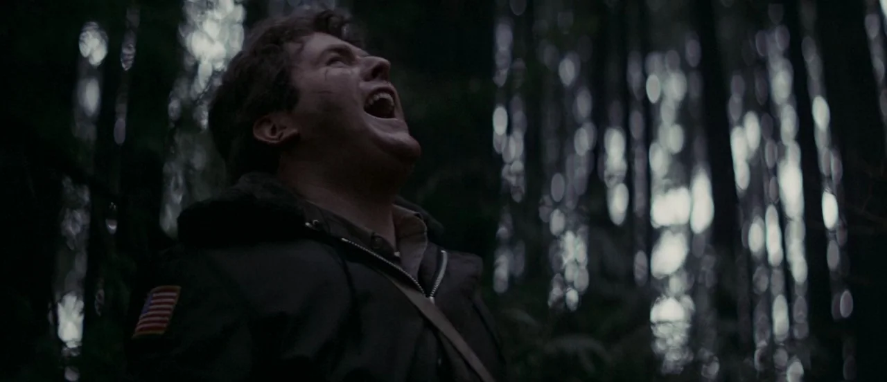 First Blood (1982) movie still: medium — A dense grove of tall trees with vertical bark patterns fills the background. A young man stands in the…