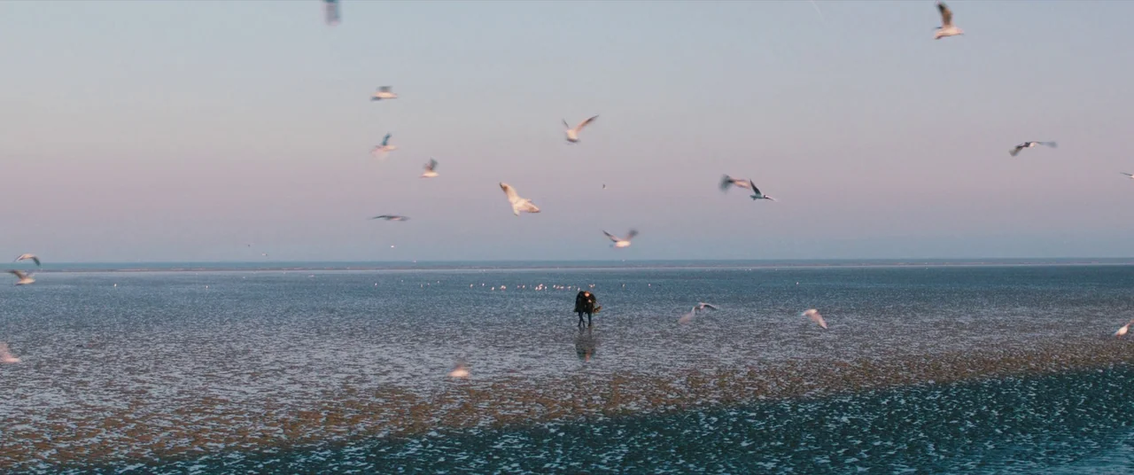 Ginger & Rosa (2012) movie still: wide — A vast, flat, wet beach at low tide stretches towards a hazy, distant horizon. A single person walks across…