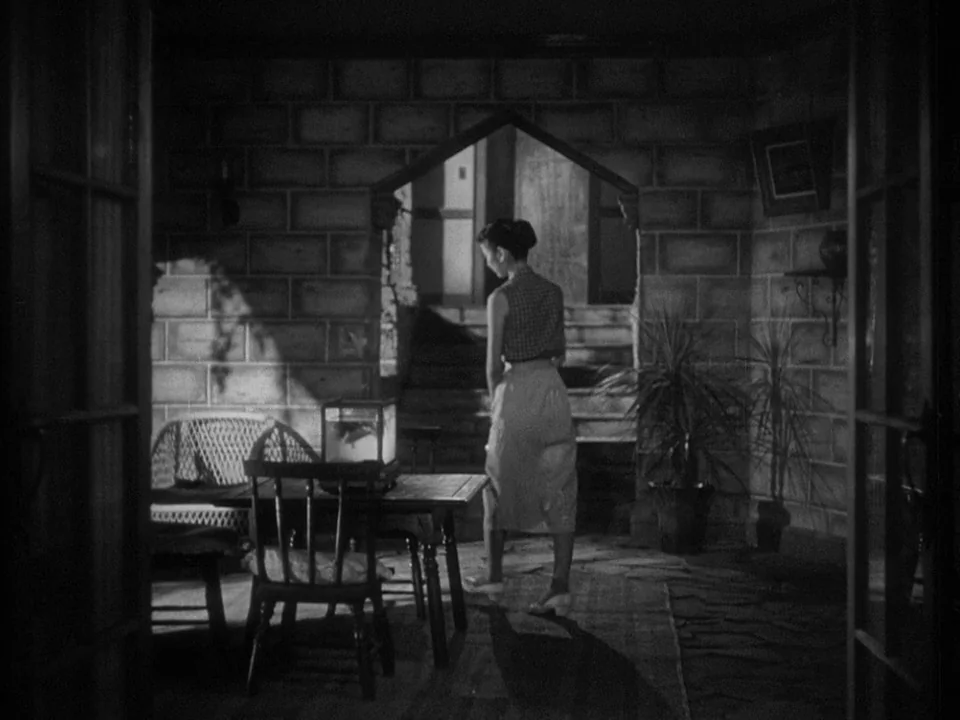 Godzilla (1954) (1954) movie still: fullbody — A room features dark stone block walls and an arched doorway leading to stairs. A woman in a…