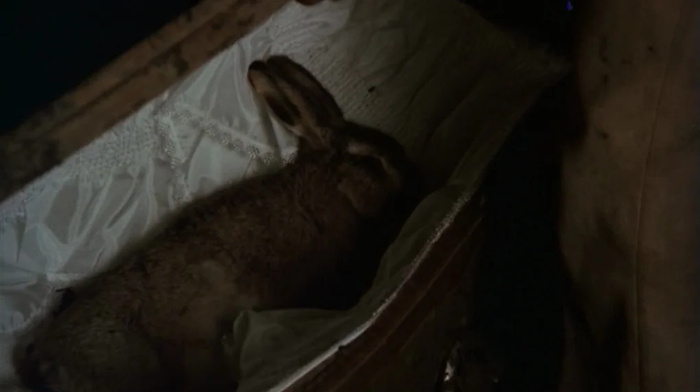 The Wicker Man movie still: closeup — A brown rabbit rests inside a small, white satin-lined casket. The dark surroundings highlight the textures of…