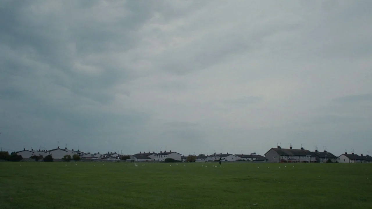 A Date for Mad Mary (2016) movie still: establishing — A vast green field stretches toward a row of suburban houses under overcast skies. Birds are…