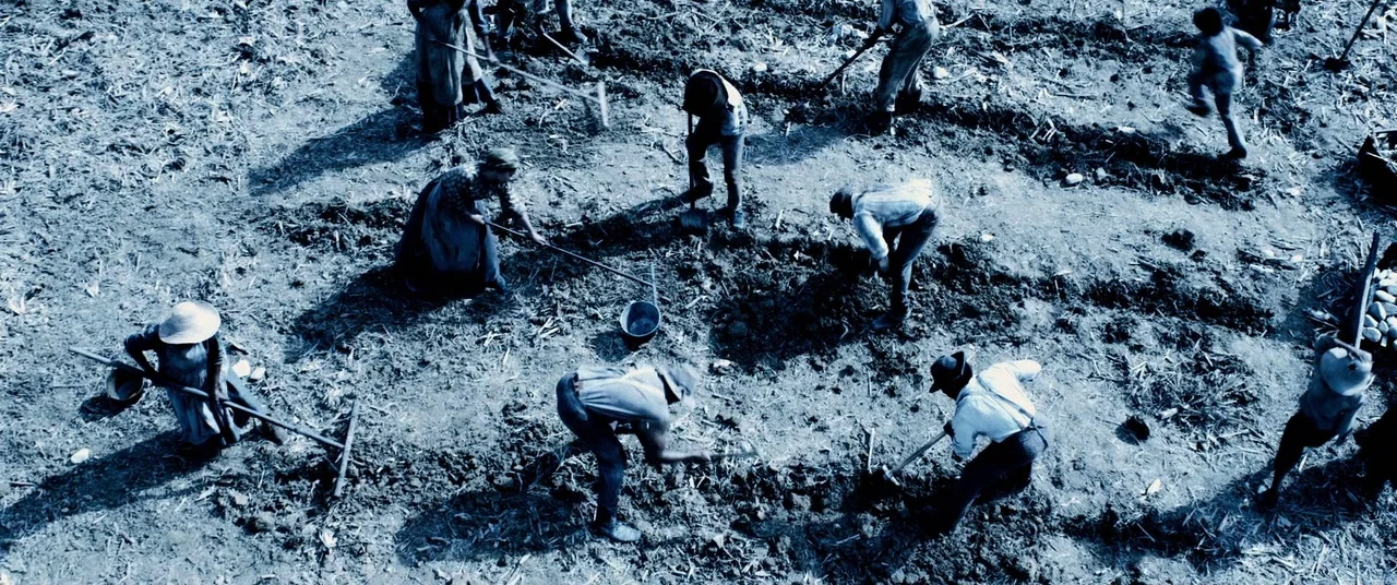 Harriet movie still: wide — A group of laborers works across rows of dry, tilled earth in a vast field. The individuals use hoes and other hand…