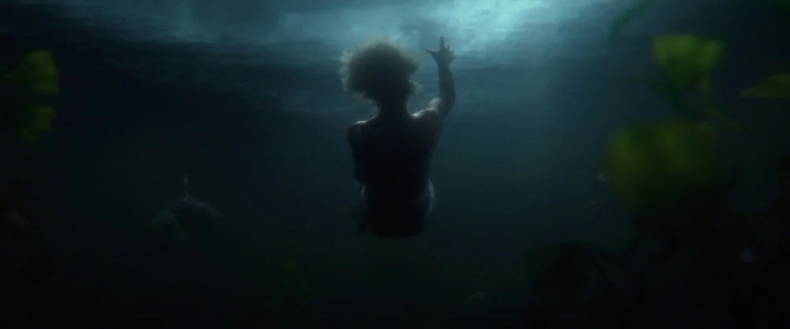 Gone Girl (2014) movie still: medium — A person floats deep underwater in a dark, murky aquatic environment with silhouetted vegetation. The figure…