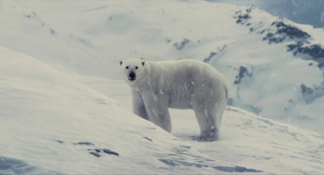 Snowpiercer (2013) movie still: medium — A vast, snowy mountain landscape with light snowfall covers the rocky, frozen terrain. A lone polar bear…