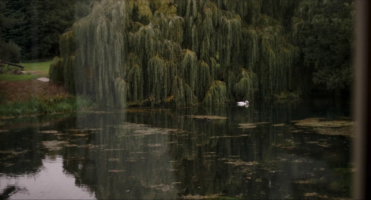 The Falling movie still: wide — A dark pond is surrounded by a large weeping willow tree in a park. A single white swan swims across the water…