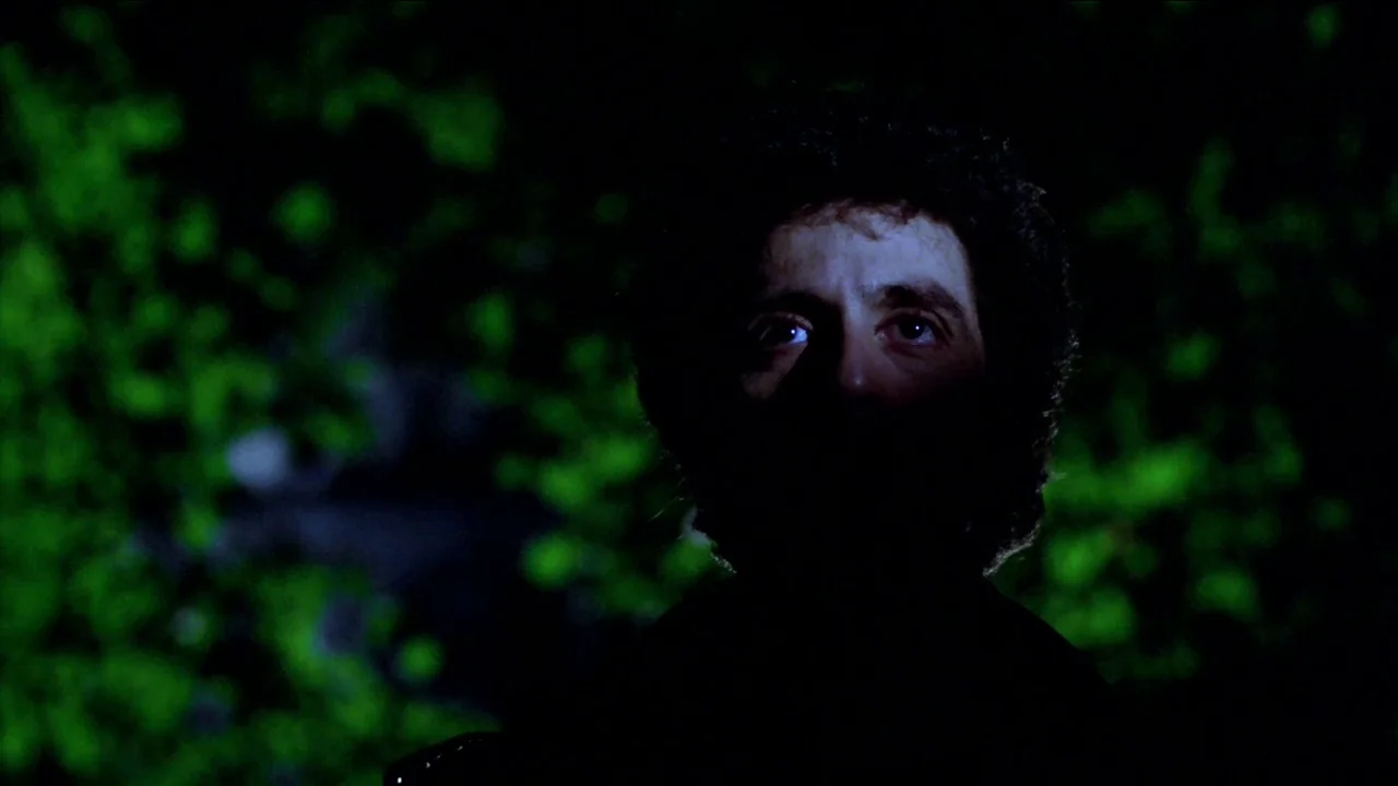 Cruising (1980) movie still: closeup — A man's face is illuminated against a dark background of out-of-focus green leaves at night. The man gazes…