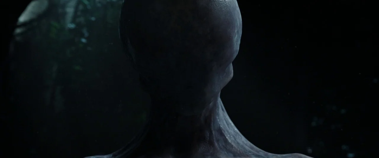 Alien: Covenant (2017) movie still: closeup — A dark, shadowed forest environment with faint foliage visible in the blurry background. A smooth,…