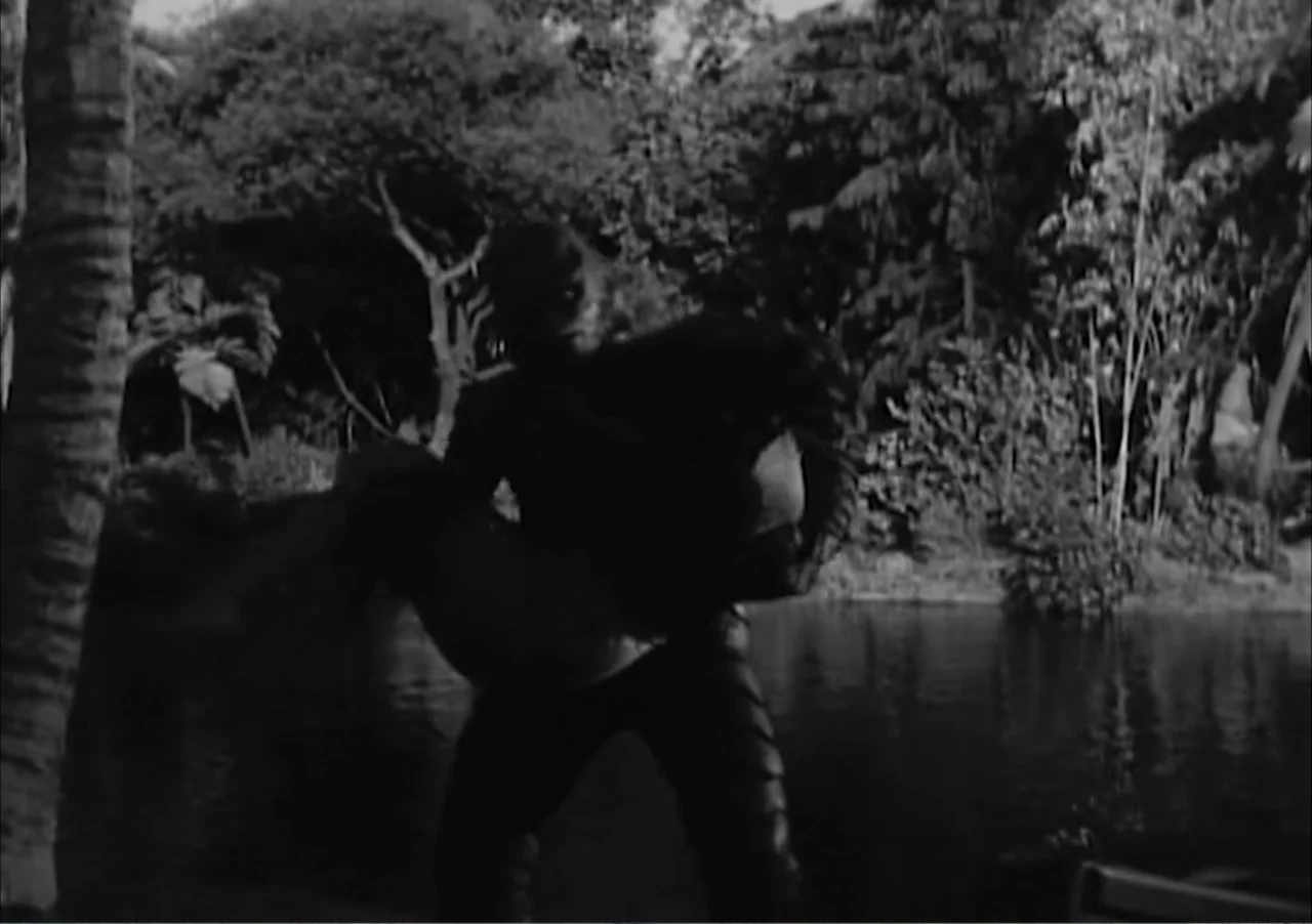 Creature from the Black Lagoon (1954) movie still: medium — A dense grove of trees borders a dark body of water under daylight. A creature-like man…