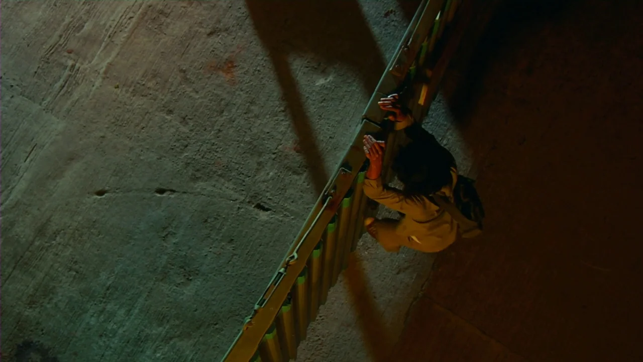 Merantau (2009) movie still: wide — A dark concrete underpass at night featuring a metal ladder mounted on a wall. A young man climbs the ladder…
