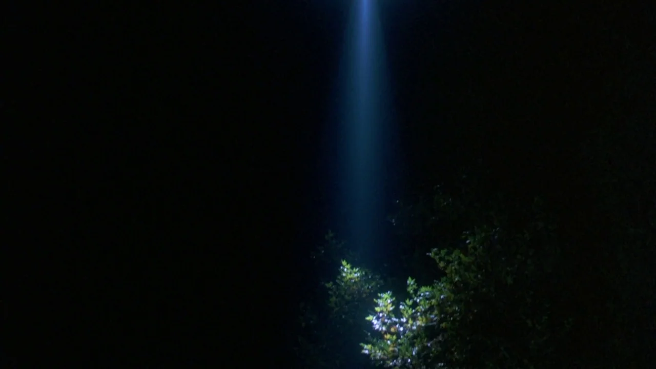 Friday the 13th: The Final Chapter (1984) movie still: establishing — A dense patch of foliage is illuminated from above by a narrow concentrated…
