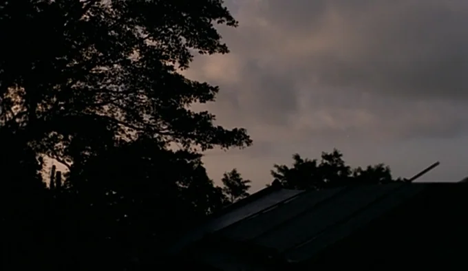 Dust In The Wind (1986) movie still: establishing — The silhouettes of dense trees and a slanted roof cut across a cloudy sky. The horizon is dim…
