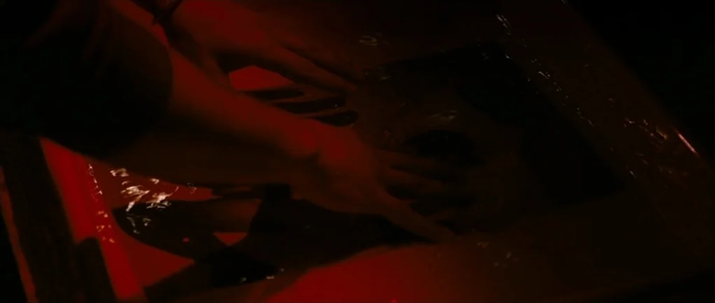 The Walker (2007) movie still: closeup — A darkroom processing tray contains liquid reflecting deep red light from above. Two hands are positioned…