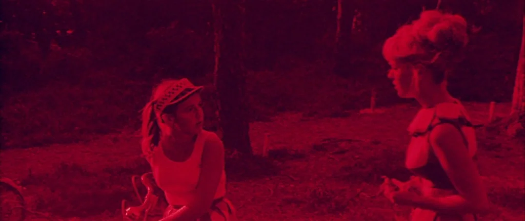 Les Créatures (1966) movie still: medium — Two women stand facing each other in a dark wooded area at night. The entire scene is bathed in a…