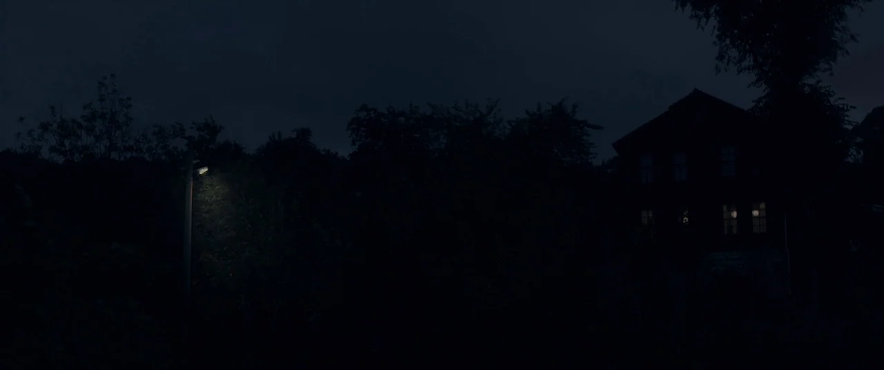 Mustang (2015) movie still: establishing — A dark, wooded area at night features a lone streetlamp and a distant house. The scene is shrouded in…