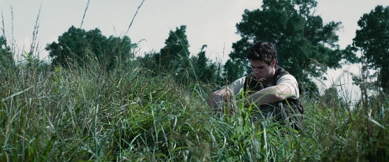The Hunger Games (2012) movie still: medium — A man sits alone within a dense meadow of tall, wild grass. Tall trees rise in the hazy background…