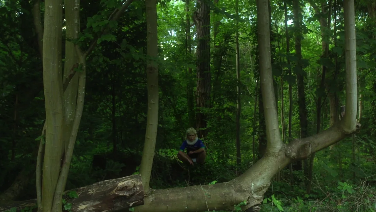 Orlando: My Political Biography (2023) movie still: wide — A dense patch of green woods with tall trunks and a fallen log. A young child in a neck…