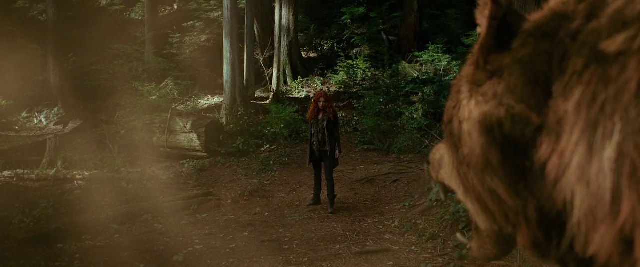 The Twilight Saga: New Moon (2009) movie still: wide — A dense patch of temperate woodland features tall evergreen trees and a dirt trail. A woman…