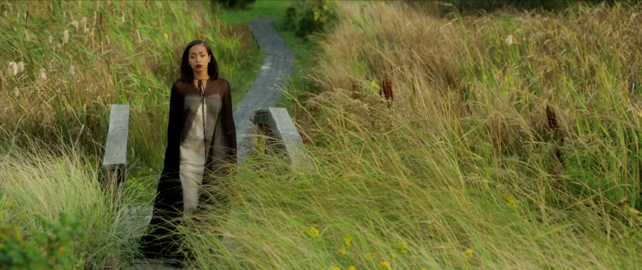 Da Sweet Blood of Jesus (2014) movie still: fullbody — A wooden boardwalk winds through a dense field of tall wild grasses and cattails. A young…