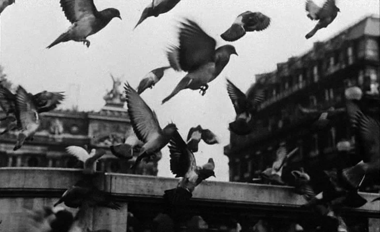 La Jetée (1962) movie still: wide — A dense urban plaza is filled with a large swarm of pigeons taking flight. The birds scatter above a low…