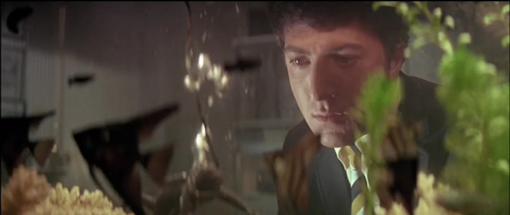 The Graduate (1967) movie still: closeup — A dark, dimly lit room contains an aquarium featuring aquatic plants and swimming fish. A man wearing a…