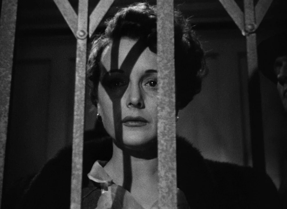 The Maltese Falcon (1941) movie still: closeup — A woman stands behind an iron gate that casts vertical shadows over her face. She stares straight…