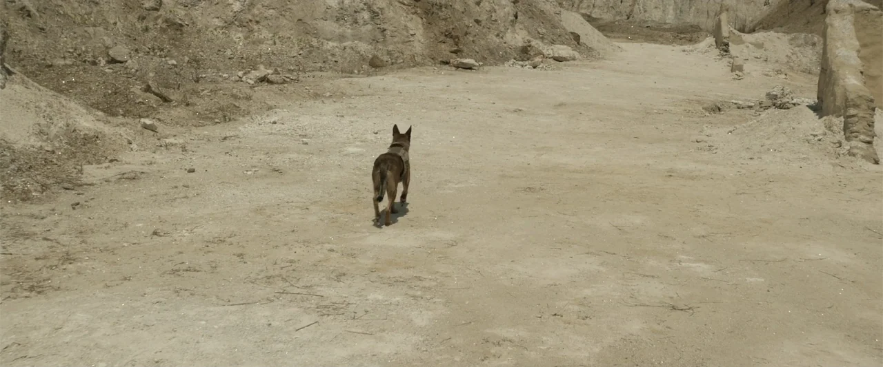 Max (2002) movie still: wide — A vast, open quarry with light-colored dirt and rocky mounds under bright sunlight. A German shepherd wearing a…