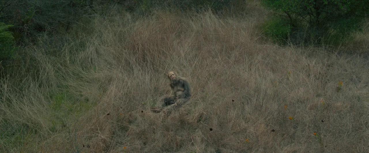 Sasquatch Sunset (2024) movie still: wide — A field of tall, dry, yellowish grass stretches across an open outdoor landscape. An elderly man with…
