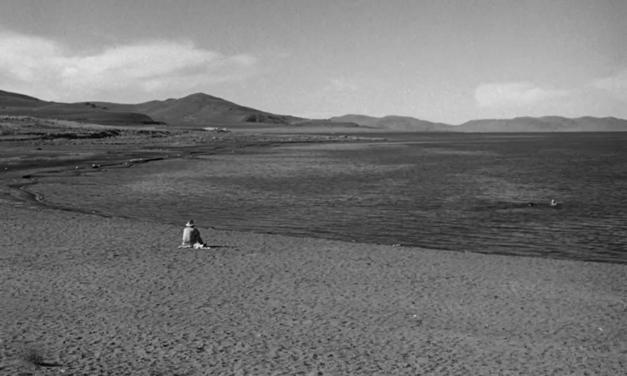 The Misfits (1961) movie still: wide — A quiet shoreline stretches toward distant rolling hills under a bright sky. One person sits on the sand…