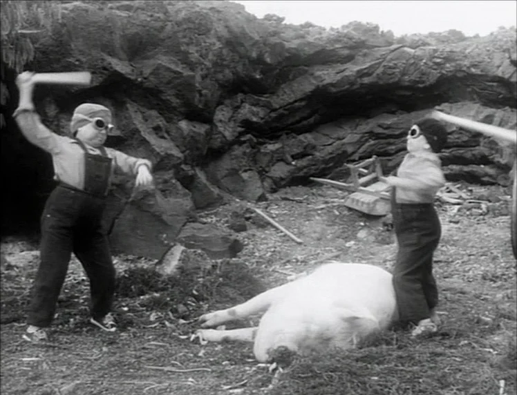 Even Dwarfs Started Small (1970) movie still: fullbody — A desolate, rugged volcanic field with sharp black rocks and sparse patches of dirt. Two…