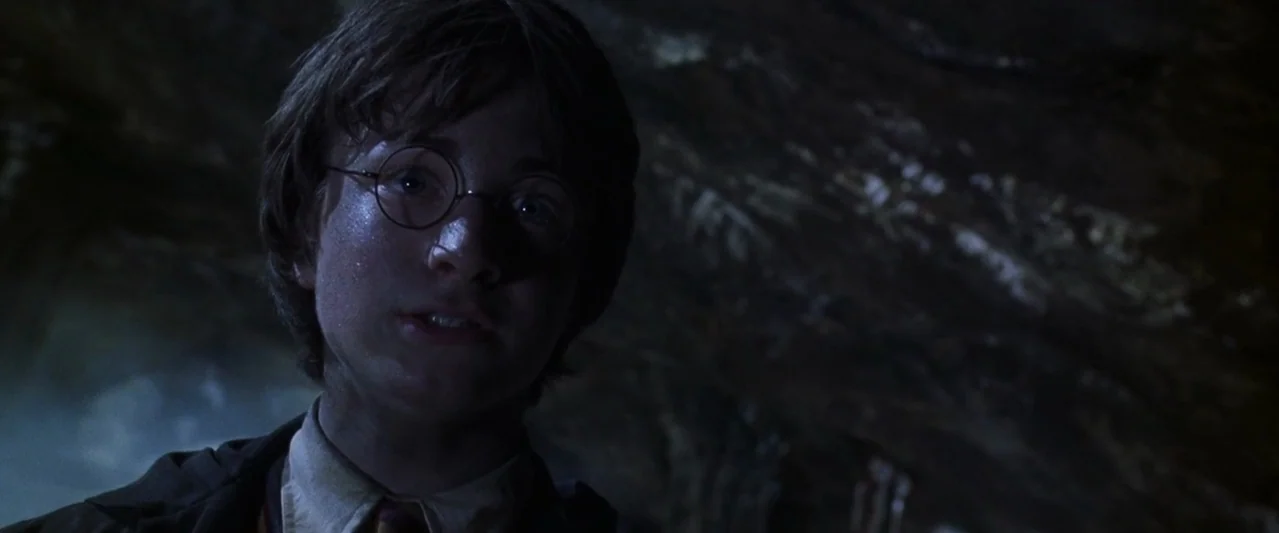Harry Potter and the Chamber of Secrets (2002) movie still: closeup — A dark subterranean cave features rugged stone walls with rough textures. A…