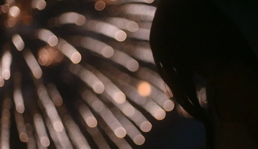 Kate Plays Christine (2016) movie still: closeup — A dark night sky is illuminated by numerous bright, blurry streaks of fireworks. A person is seen…