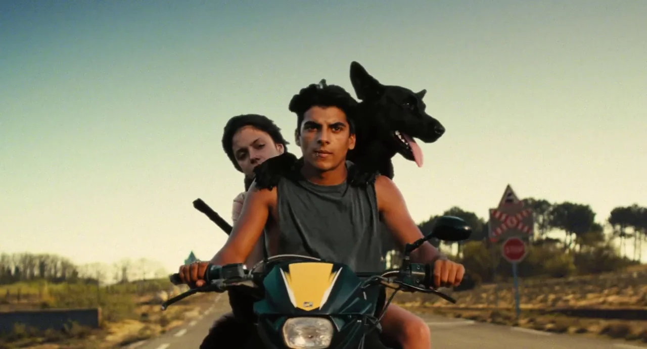 Ava (2017) movie still: medium — An open asphalt road winds through a rural landscape during a clear golden hour. A man drives a motorbike with a…