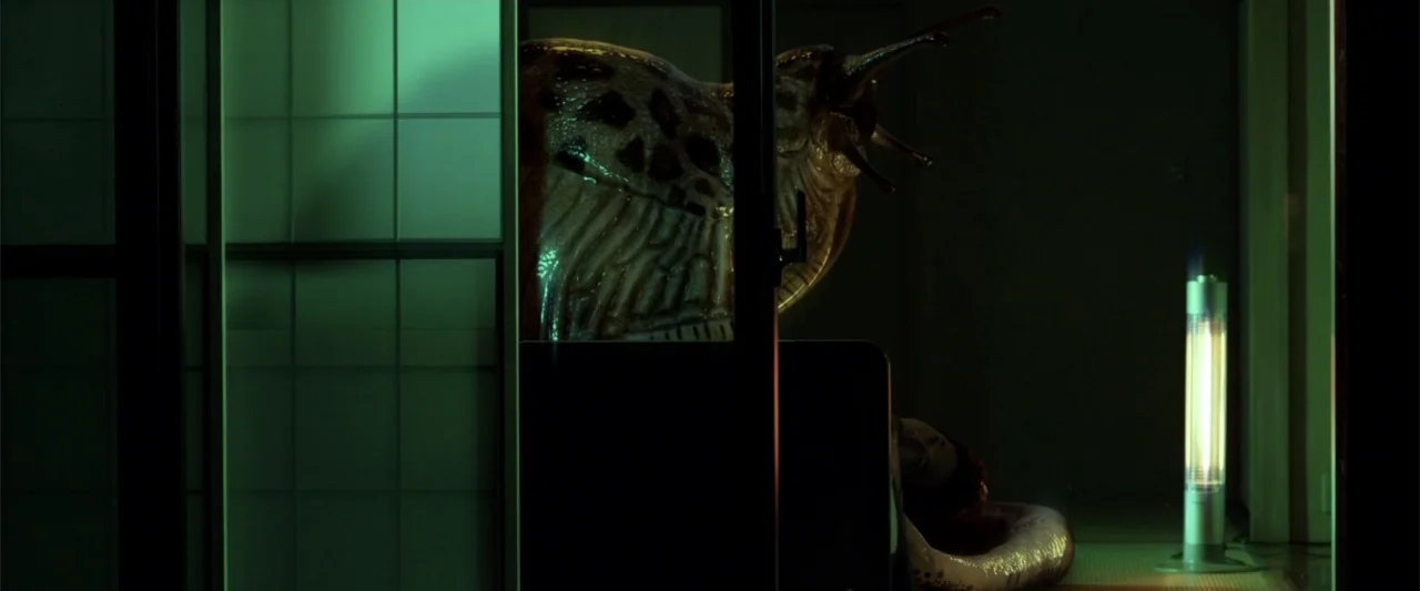 To Hear the Birds Singing (1995) movie still: medium — A dark bedroom features a wall with a Japanese sliding screen partition. A large spotted…