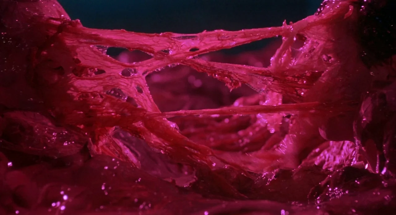 From Beyond (1986) movie still: closeup — A close-up view of wet, pink, biological matter with interconnected sticky membrane strands. Thin…