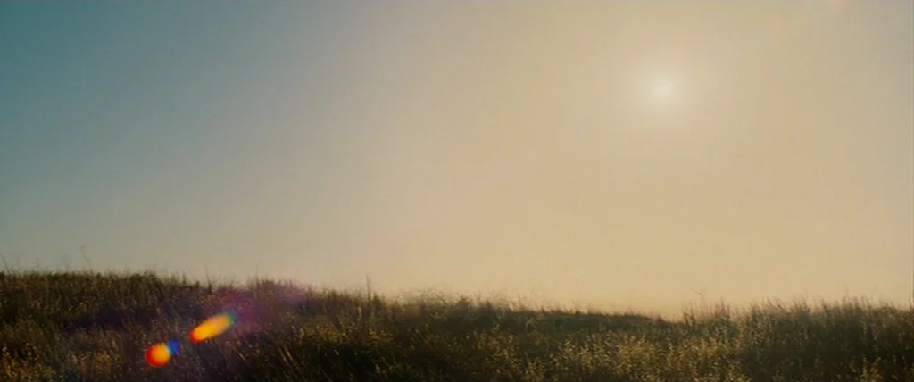Pineapple Express (2008) movie still: establishing — A low-angle view of a field covered in dry, golden-toned wild grasses. The sun hangs in a…
