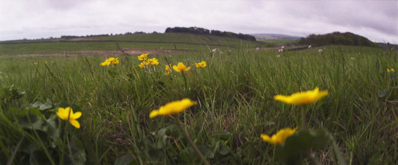 Starve Acre (2023) movie still: wide — A vast, rolling green meadow stretches toward a distant ridge under an overcast sky. Small yellow wildflowers…