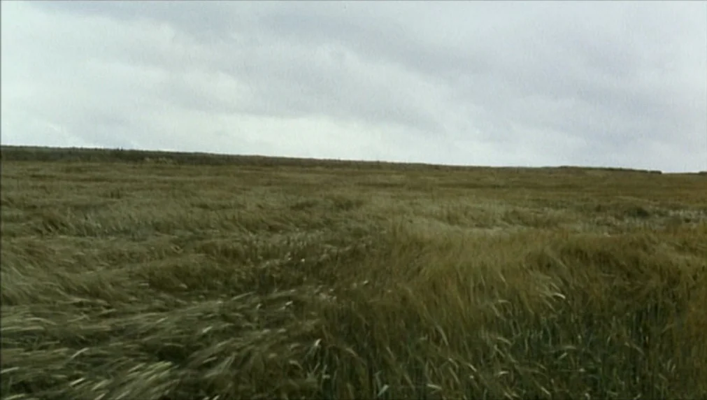 The Enigma Of Kaspar Hauser (1974) movie still: establishing — A vast, rolling field of tall grass extends to the horizon under a grey sky. The tall…
