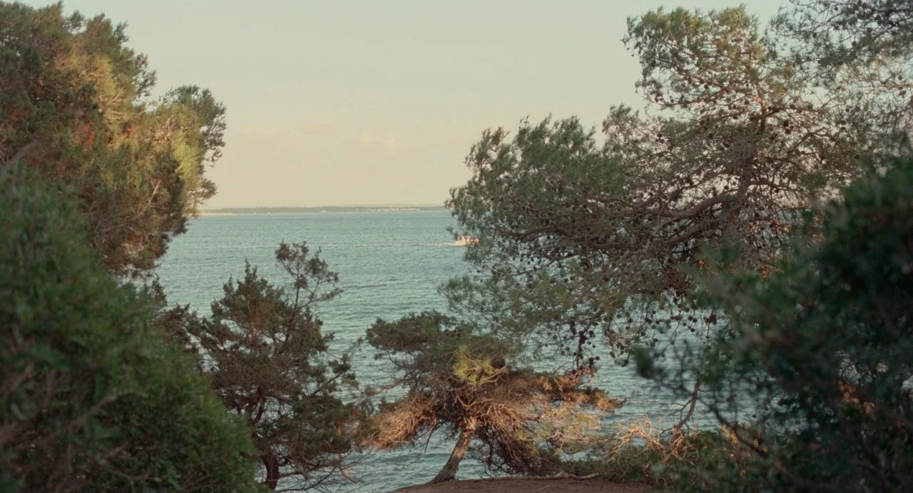 Non-Fiction (2018) movie still: wide — A coastal viewpoint looks through pine trees toward a distant body of water. A small white boat travels…