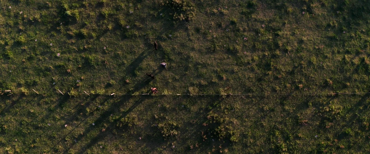 When Evil Lurks (2023) movie still: establishing — An expanse of rural pasture land features patches of grass and shrubs. Three people walk beside a…