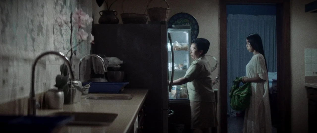 La Llorona (2019) movie still: medium — A dimly lit home area featuring a counter with a sink and an open refrigerator. An older woman interacts…