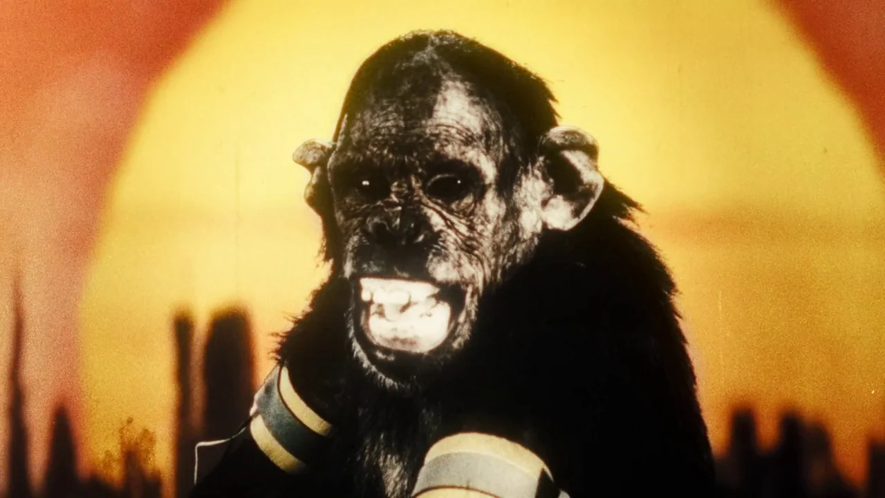 Once Within A Time (2022) movie still: closeup — A dark, silhouetted chimpanzee stands against a bright yellow and orange abstract background. The…