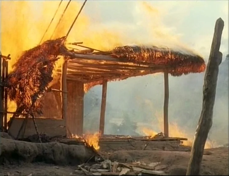 Aguirre, The Wrath Of God (Aguirre, der Zorn Gottes) (1972) movie still: wide — A rural thatched hut made of wooden poles and dried plant material…