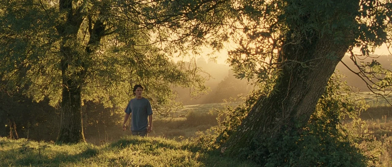 Tamara Drewe (2010) movie still: wide — A man walks across a grassy field bordered by large old-growth trees. Warm golden sunset light illuminates…