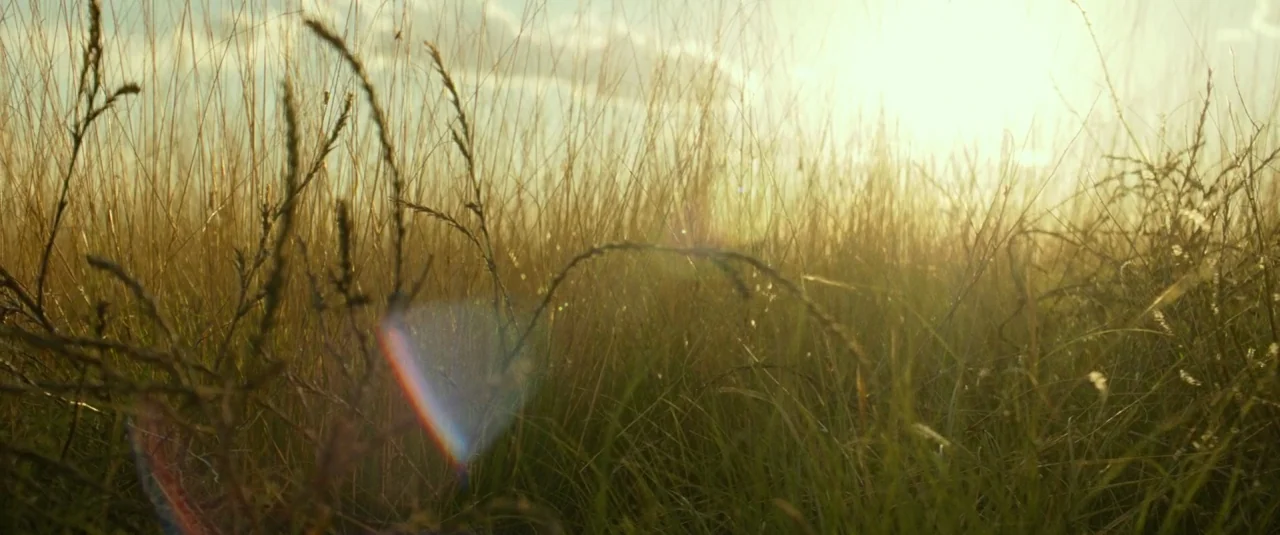 Hell or High Water (2016) movie still: establishing — An open field of dry, tall grass fills the frame during late afternoon. Bright sun backlights…
