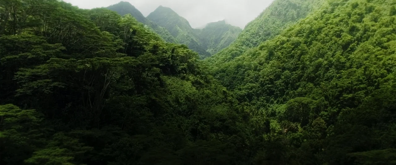 Boy Kills World (2023) movie still: establishing — A dense tropical valley features steep, tree-covered slopes reaching toward a cloudy, overcast…