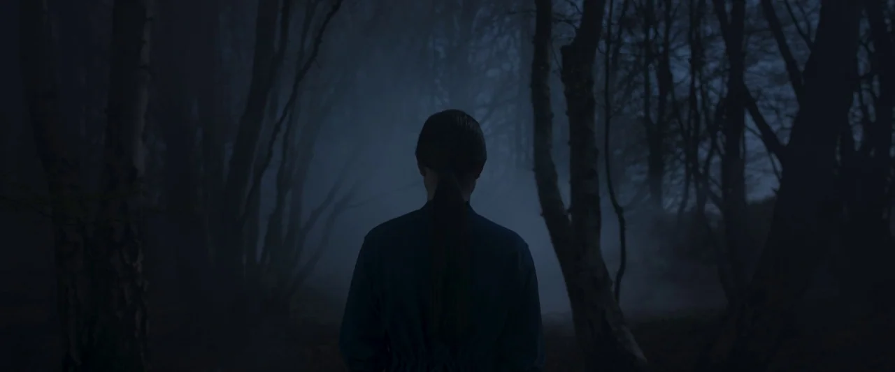 Stopmotion (2024) movie still: medium — A dense, dark woodland filled with thick fog and tall, bare-branched trees. A person stands facing away from…
