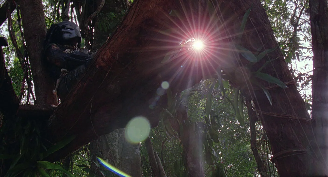 Predator (1987) movie still: medium — A dense jungle canopy features sunlight filtering through leaves near a large tree trunk. A helmeted humanoid…
