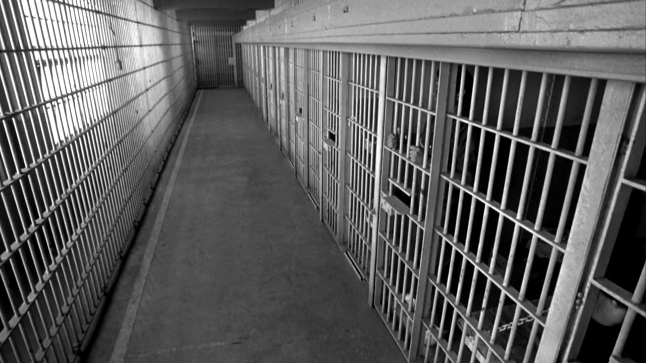 American History X movie still: wide — A long, narrow corridor features rows of iron-barred doors lining one wall. The concrete floor remains empty…